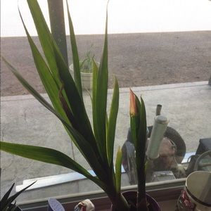 Meet your Posher, Lyle